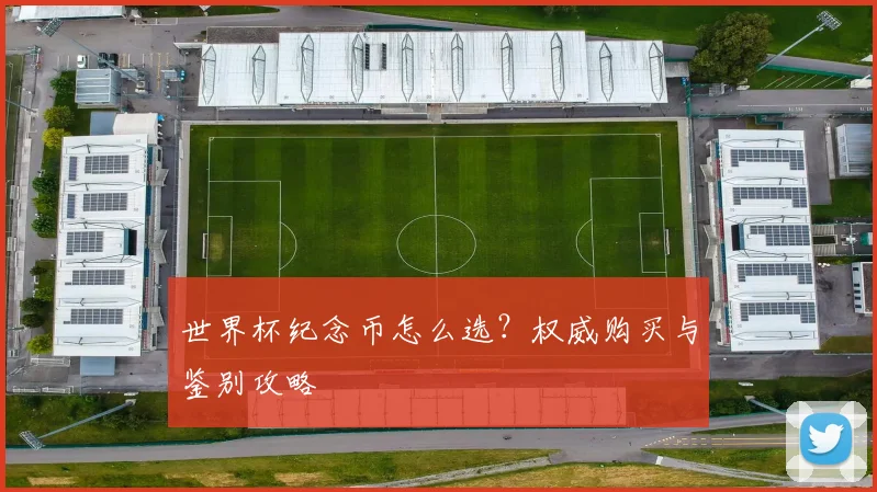 世界杯纪念币怎么选？权威购买与鉴别攻略